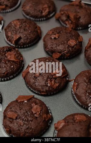 Frisch gebackene Schokoladenmuffins in Muffindose Stockfoto