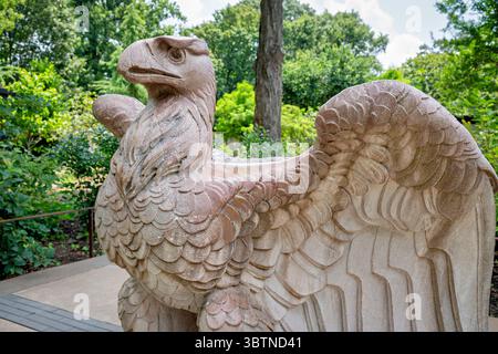 Pennsylvania Railroad Station Eagle von Adolph Weinman im National Zoo in Washington DC | WASHINGTON DC, Vereinigte Staaten – geschnitzte Flügel und Federn zeigen in engem Profil den Pennsylvania Station Eagle, der aus New Yorks zerstörter Penn Station gerettet und im Smithsonian's National Zoo ausgestellt wurde. Der Bildhauer Adolph A. Weinman modellierte 22 solcher Adler für das Beaux-Arts-Terminal 1910, eines von 14 großen Beispielen aus rosa Granit. Der Abriss des Gebäudes im Jahr 1963-1966 trug dazu bei, Amerikas historische Denkmalschutzbewegung voranzutreiben. Stockfoto