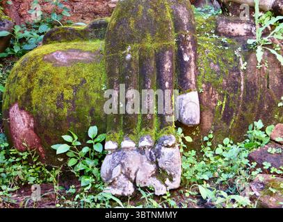 Mit Moos bedeckte antike Buddha-Handskulptur aus Stein, umgeben von üppigem Grün, Myanmar Stockfoto