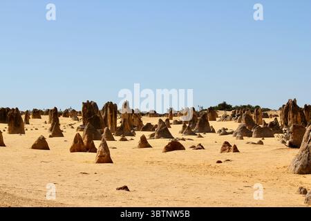 Endloser Sand und Stein: Die Pinnacles in Westaustralien stehen hoch unter der strahlenden Wüstensonne Stockfoto