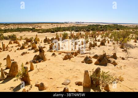 Endloser Sand und Stein: Die Pinnacles in Westaustralien stehen hoch unter der strahlenden Wüstensonne Stockfoto