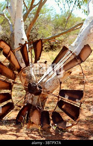 Rostiger Windmühlenfan lehnt sich an weiß geschellten Eukalyptusbaum in trockener australischer Outback-Landschaft Stockfoto
