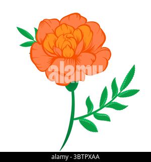 Vektor-Illustration der Orange Ringelblume auf Stamm mit grünen Blättern auf einem weißen Hintergrund. Illustration für Dekoration, Design. Stock Vektor