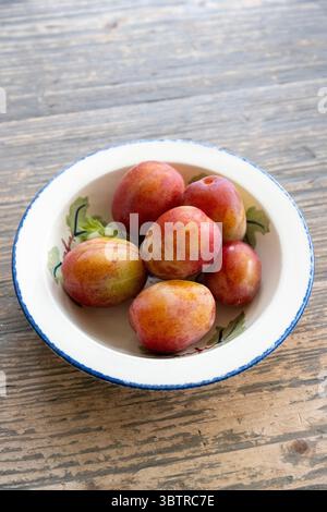 Eine Schüssel mit frisch geerntetem, selbstgeerntetem Obst, Victoria Plum - Prunus domestica auf einem geschrubbten Holztisch in England Stockfoto