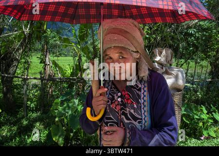 25. August 2015, Laos: Alte Frau mit Sonnenschirm im Dorf Vang Vieng, Laos (Foto: © Sergi Reboredo/ZUMA Wire) Stockfoto