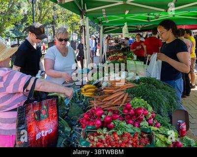 Toronto, Kanada. Juli 2025. Kunden kaufen Lebensmittel am 15. Juli 2025 auf einem Bauernmarkt in Toronto, Kanada. Der kanadische Verbraucherpreisindex (CPI) stieg im Juni um 1,9 Prozent gegenüber dem Vorjahr, nachdem er im Mai um 1,7 Prozent gestiegen war, teilte Statistics Canada am Dienstag mit. Quelle: Zou Zheng/Xinhua/Alamy Live News Stockfoto