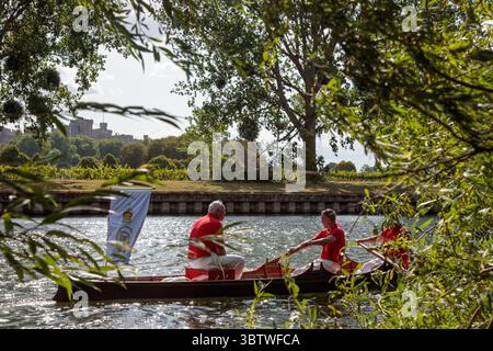 Windsor, Großbritannien. Juli 2025. Schwan-Oberteile sind auf der Themse vor Windsor Castle am ersten Tag der jährlichen fünftägigen zeremoniellen Swan-Aufstockung-Volkszählung abgebildet. Swan-Upping, das die Sammlung, Überprüfung und Freilassung aller stummen Schwäne auf dem Fluss erfordert, geht auf mehr als 800 Jahre zurück, als die Krone das Eigentum an allen stummen Schwänen beanspruchte. Quelle: Mark Kerrison/Alamy Live News Stockfoto