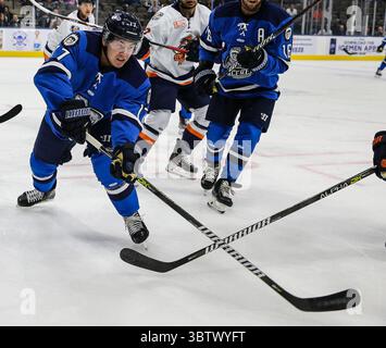 Jacksonville Icemen Stürmer Everett Clark (17) wetteifern um den Puck während der ersten Phase eines ECHL-Profihockeyspiels gegen die Greenville Swamp Kaninchen in der Veterans Memorial Arena in Jacksonville, Florida, Mittwoch, 27. November 2019. [Gary Lloyd McCullough/CSM](Guthaben: &Copy; Gary Lloyd McCullough/CSM via ZUMA Wire) Stockfoto