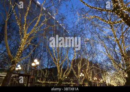 30. November 2019, Seattle, King County, USA: Am 30. November 2019 erleuchten Lichter den Occidental Square in Seattles historischem Viertel Pioneer Square. (Foto: © Paul Christian Gordon/ZUMA Wire) Stockfoto