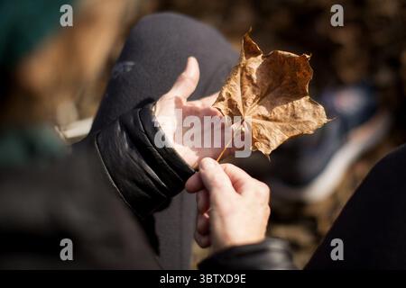 17. November 2019, Columbus, OH, USA: Margy Davis, von Indianapolis, schaut sich ein Blatt an, zu dem sie während ihrer Teilnahme an Shinrin-yoku im Indian Village Outdoor Recreation Center, Sonntag, 17. November 2019, hingezogen wird. Shinrin-Yoku (Forsttherapie) ist eine Praxis, die in Japan in den 1980er Jahren entwickelt wurde Es umfasst ein geführtes, beruhigendes Erlebnis in kleiner Gruppe oder Einzelperson in einer natürlichen Umgebung, die Ihnen dabei hilft, Ihre Sinne zu öffnen und sich mit sich selbst und der Umgebung um Sie herum zu verbinden. (Kreditbild: © TNS via ZUMA Wire) Stockfoto