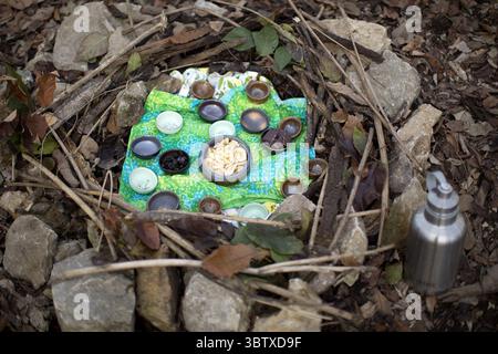 17. November 2019, Columbus, OH, USA: Teilnehmer von Shinrin-yoku beenden das Erlebnis mit einer kleinen Teezeremonie im Indian Village Outdoor Recreation Center, Sonntag, 17. November 2019. (Kreditbild: © TNS via ZUMA Wire) Stockfoto