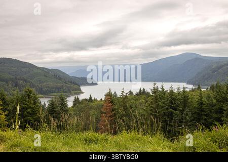 Malerischer Blick auf den Riffe Lake, umgeben von bewaldeten Hügeln im Bundesstaat Washington Stockfoto