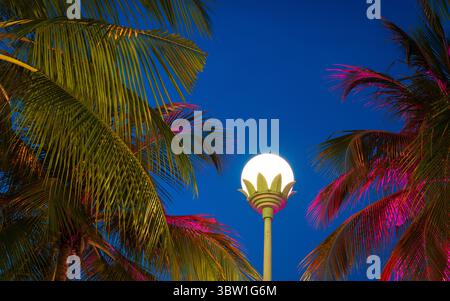 Palmen und Straßenlaterne im Ferienort vor blauem Stundenhimmel. Urlaubs- oder Reisekonzept. Stockfoto