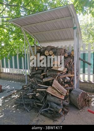 Vertikales Foto Feuerholz unter Metalldach im Hinterhof gestapelt, trockene Stämme chaotisch angeordnet, Feuerholz für den Winter gelagert, Feuerholz vor rai geschützt Stockfoto