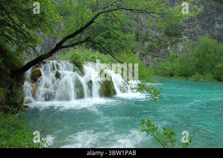 Üppige grüne Vegetation umgibt kaskadierende Wasserfälle im Nationalpark Plitvicer Seen und schafft eine ruhige und unberührte natürliche Landschaft Stockfoto