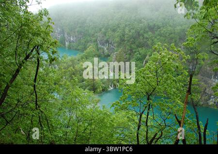 Üppige grüne Landschaft mit kaskadierenden Wasserfällen und türkisfarbenen Seen im Nationalpark Plitvicer Seen in Kroatien, von einem hohen Aussichtspunkt aus gesehen Stockfoto
