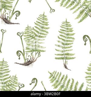 Aquarell nahtloses Muster von Farnpflanze, Waldflora Wiederholungspapier Stockfoto