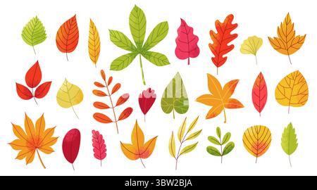 Herbstlaub gesetzt. Abstrakte Herbstwälder, botanische dekorative grüne gelbe rote Blattsymbole, Holz- und Gartenbäume Blätter. Vektor Stock Vektor