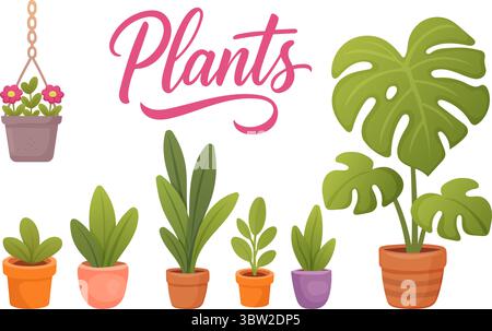 Zimmerpflanzen-Kollektion mit Monstera-Hängetopf und Sukkulenten im Cartoon-Stil Stock Vektor