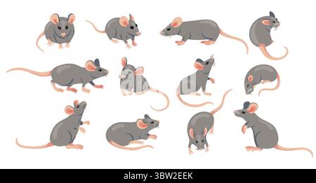 Mäusetier. Niedliche Zeichentrickfiguren aus Labormaus und Ratten, lustige graue Nagetiere, Tierarten in verschiedenen Stellungen. Vektormäuse und Stock Vektor