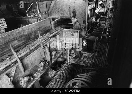 Aktuell 23-1-1969 : Gewinn vor allem.die Generalversammlung der Gewerkschaft hatte einen Vorschlag genehmigt, der von Rechtsanwalt Sigbjørn Mustad genehmigt wurde, 10 Millionen Kronen der Reserven der Gruppe in die privaten Taschen der Aktionäre zu transferieren. Die 10 Millionen sind steuerfrei und werden über einen Zeitraum von fünf Jahren an die Aktionäre ausgezahlt. Gleichzeitig werden Einsparungen bei den Einrichtungen und Ausrüstungen für die Arbeitnehmer erzielt. Foto: Per Ervik / aktuell / NTB ***FOTO NICHT VERARBEITET*** *Text wird automatisch übersetzt* Stockfoto