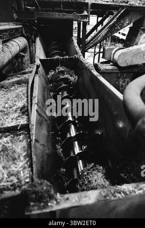 Aktuell 23-1-1969 : Gewinn vor allem.die Generalversammlung der Gewerkschaft hatte einen Vorschlag genehmigt, der von Rechtsanwalt Sigbjørn Mustad genehmigt wurde, 10 Millionen Kronen der Reserven der Gruppe in die privaten Taschen der Aktionäre zu transferieren. Die 10 Millionen sind steuerfrei und werden über einen Zeitraum von fünf Jahren an die Aktionäre ausgezahlt. Gleichzeitig werden Einsparungen bei den Einrichtungen und Ausrüstungen für die Arbeitnehmer erzielt. Foto: Per Ervik / aktuell / NTB ***FOTO NICHT VERARBEITET*** *Text wird automatisch übersetzt* Stockfoto