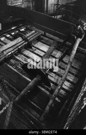 Aktuell 23-1-1969 : Gewinn vor allem.die Generalversammlung der Gewerkschaft hatte einen Vorschlag genehmigt, der von Rechtsanwalt Sigbjørn Mustad genehmigt wurde, 10 Millionen Kronen der Reserven der Gruppe in die privaten Taschen der Aktionäre zu transferieren. Die 10 Millionen sind steuerfrei und werden über einen Zeitraum von fünf Jahren an die Aktionäre ausgezahlt. Gleichzeitig werden Einsparungen bei den Einrichtungen und Ausrüstungen für die Arbeitnehmer erzielt. Foto: Per Ervik / aktuell / NTB ***FOTO NICHT VERARBEITET*** *Text wird automatisch übersetzt* Stockfoto