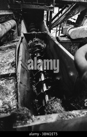 Aktuell 23-1-1969 : Gewinn vor allem.die Generalversammlung der Gewerkschaft hatte einen Vorschlag genehmigt, der von Rechtsanwalt Sigbjørn Mustad genehmigt wurde, 10 Millionen Kronen der Reserven der Gruppe in die privaten Taschen der Aktionäre zu transferieren. Die 10 Millionen sind steuerfrei und werden über einen Zeitraum von fünf Jahren an die Aktionäre ausgezahlt. Gleichzeitig werden Einsparungen bei den Einrichtungen und Ausrüstungen für die Arbeitnehmer erzielt. Foto: Per Ervik / aktuell / NTB ***FOTO NICHT VERARBEITET*** *Text wird automatisch übersetzt* Stockfoto