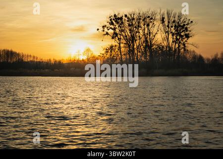 Sonnenuntergang über dem See mit hohen Bäumen am Ufer, Ostpolen Stockfoto