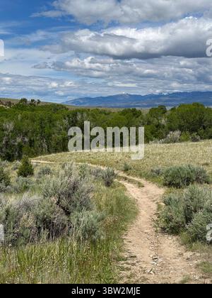 Ein gewundener Schotterweg führt durch Sagebrush und offenes Grasland zu einem Fernblick auf schneebedeckte Berge unter teilweise bewölktem Himmel. Montana Stockfoto