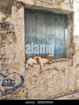 Kreta, Griechenland - 6. September 2023: Eine weiße und grüne Katze schläft friedlich auf der Fensterbank eines alten verwitterten Steingebäudes mit blauen Fensterläden. Stockfoto