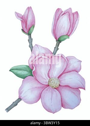Magnolie Blumen Aquarellvektor Set. Dekoration mit Hochzeitseinladungen. Stock Vektor