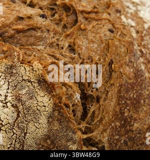 Sauerteig gesäuertes rundes Malzbrot mit verschiedenen Samen Stockfoto