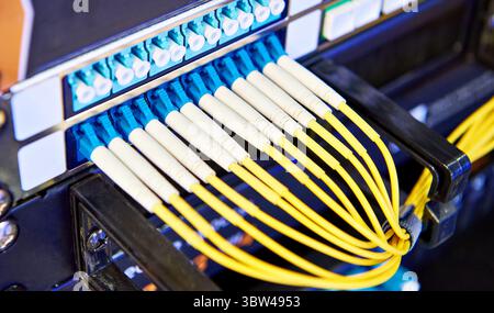 Glasfaserkabel mit Anschlüssen am Switch Stockfoto