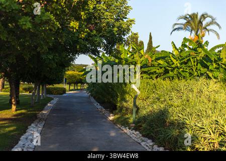Shadedl Gartenweg umgeben von Bäumen und üppigem Grün, schafft eine ruhige und ruhige Umgebung im Freien ideal zum Entspannen oder gemütlichen Spaziergängen i Stockfoto