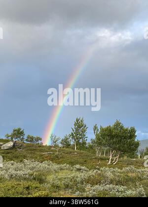 Ein atemberaubender Regenbogen erstreckt sich über einen stürmischen Himmel über einer üppig grünen Landschaft. Stockfoto