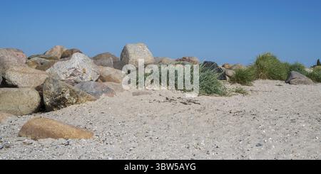 Große Steine als Grenze zum Sandstrand, Laboe, Ostseebad, Fjord, Ostsee, Nordfriesland, Schleswig-Holstein, Deutschland Stockfoto