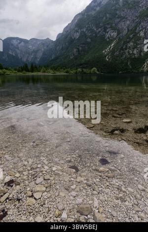 Ein kristallklarer See offenbart sein felsiges Bett, das die majestätischen, baumbedeckten Berge unter einem weichen Himmel reflektiert. Stockfoto