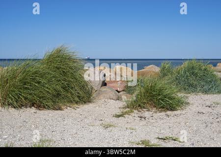 Große Steine als Grenze zum Sandstrand, Laboe, Ostseebad, Fjord, Ostsee, Nordfriesland, Schleswig-Holstein, Deutschland Stockfoto
