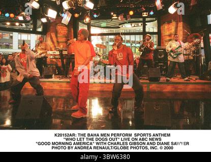 1. JANUAR 2011 - K20152AR: DIE BAHA-MÄNNER SPIELEN SPORTHYMNE.“„WER LÄSST DIE HUNDE RAUS“ LIVE IN ABC-NACHRICHTEN.“ „GUTEN MORGEN AMERIKA“ MIT CHARLES GIBSON UND DIANE SAWYER. (Kreditbild: © Andrea Renault/ZUMA Wire) Stockfoto