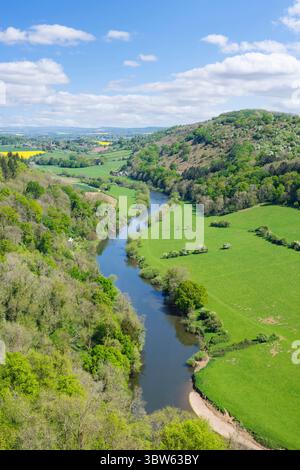 Wye Valley Wales - Blick vom Symonds Yat Rock Forest von Dean Wye Valley National Landscape Herefordshire Gloucestershire England Großbritannien GB Europa Stockfoto