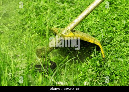 Eine Faden-Rasentrimmerrolle mäht frisches Gras an einem Frühlings- oder Sommermorgen Stockfoto