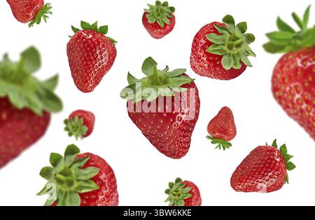 Fallende saftige Erdbeeren isoliert auf weißem Hintergrund. Reife rote Beeren mit süßem Geschmack und angenehmem Aroma. Sommerernte. Nahaufnahme, Kopierbereich Stockfoto