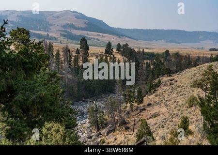 16. September 2020, Yellowstone National Park, Wyoming, Vereinigte Staaten: Der Soda Butte Creek fließt aus seinem Canyon in der Absaroka Mountain Range durch das Lamar Valley im Yellowstone National Park in Wyoming, USA. (Kreditbild: © Jon G. Fuller/VW Pics via ZUMA Wire) Stockfoto