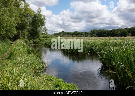 Wensum Chalk Stream Fakenham Stockfoto