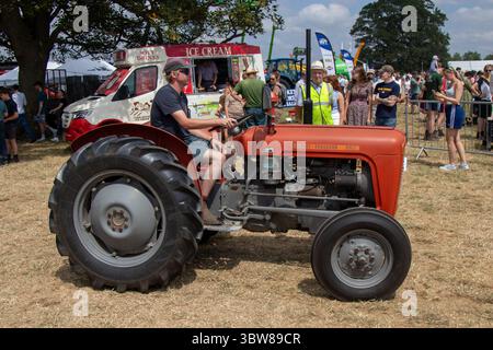 Ein Mann, der an einem sonnigen Tag 35x einen roten Massey Ferguson fährt und an einer Oldtimer-Traktorrallye teilnimmt. Stockfoto