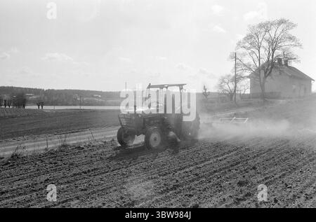 Tatsächlich 21. - 2. - 1971: Norwegen zieht in kleine Betriebsschließungen sind in Norwegen kein unbekanntes Phänomen - aber in Schweden ist der Erwerb kleiner Betriebe für "Sommerhäuschen" zu einer echten Geißel geworden. Zwei norwegische Bauern, Leif Nordgaard und Øyvind Knoph, sehen es anders: Sie pachten schwedisches Land. Foto: Sverre A. Børretzen / aktuell / NTB ***FOTO NICHT BEARBEITET*** Stockfoto