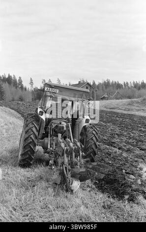 Tatsächlich 21. - 2. - 1971: Norwegen zieht in kleine Betriebsschließungen sind in Norwegen kein unbekanntes Phänomen - aber in Schweden ist der Erwerb kleiner Betriebe für "Sommerhäuschen" zu einer echten Geißel geworden. Zwei norwegische Bauern, Leif Nordgaard und Øyvind Knoph, sehen es anders: Sie pachten schwedisches Land. Foto: Sverre A. Børretzen / aktuell / NTB ***FOTO NICHT BEARBEITET*** Stockfoto