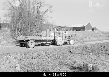 Tatsächlich 21. - 2. - 1971: Norwegen zieht in kleine Betriebsschließungen sind in Norwegen kein unbekanntes Phänomen - aber in Schweden ist der Erwerb kleiner Betriebe für "Sommerhäuschen" zu einer echten Geißel geworden. Zwei norwegische Bauern, Leif Nordgaard und Øyvind Knoph, sehen es anders: Sie pachten schwedisches Land. Foto: Sverre A. Børretzen / aktuell / NTB ***FOTO NICHT BEARBEITET*** Stockfoto