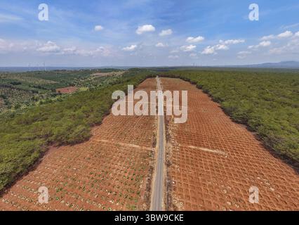 Eine gerade Straße aus der Vogelperspektive führt durch die rote Erde und die üppigen grünen Wälder unter einem riesigen Himmel, Pleiku, Gia Lai, Vietnam. Stockfoto